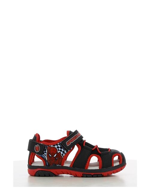 Leomil | Spiderman Sandal | 33
