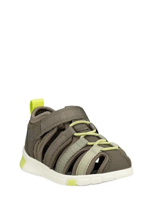 ECCO | Mini Stride Sandal | 25