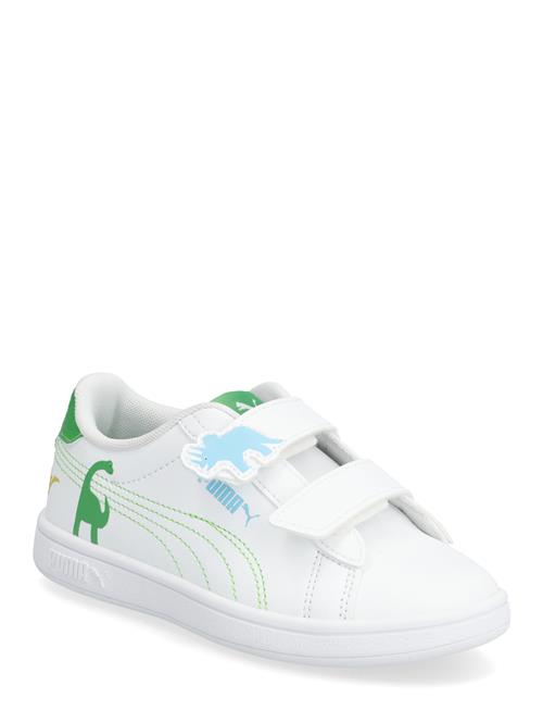 PUMA | Puma Smash 3.0 Dino V Ps | 33