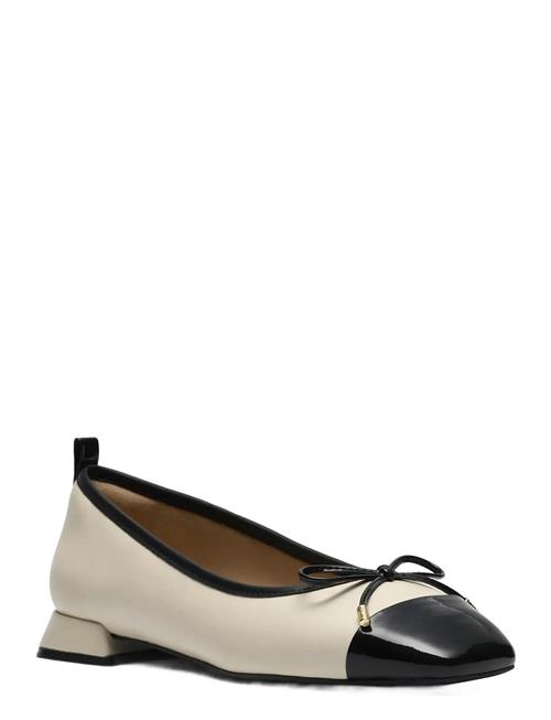 Clarks | Ubree15 Poppy D | 39.5