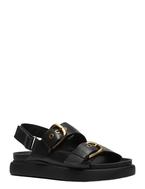 Clarks | Aristella Bay D | 36