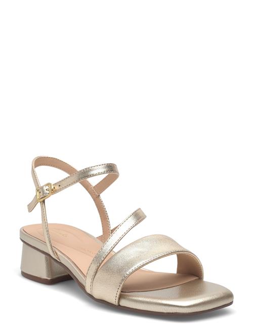 Clarks | Serina35 Strap D | 42