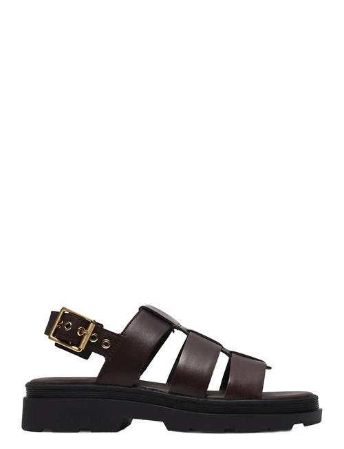Clarks | Orinoco3 Strap D | 42