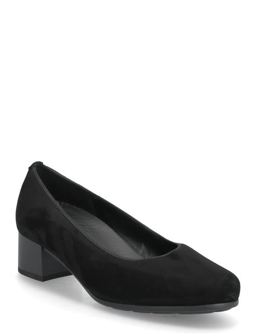 Gabor | Pumps | 37