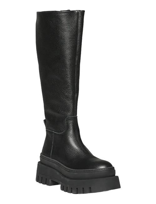 Steve Madden | Chipp | 38
