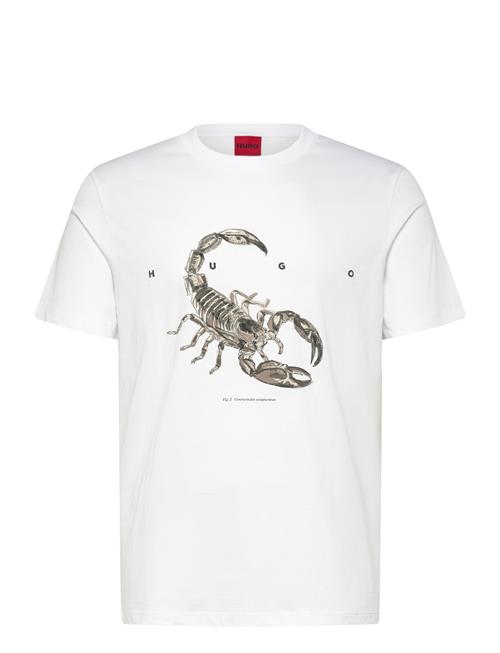 HUGO | Discorb | XL
