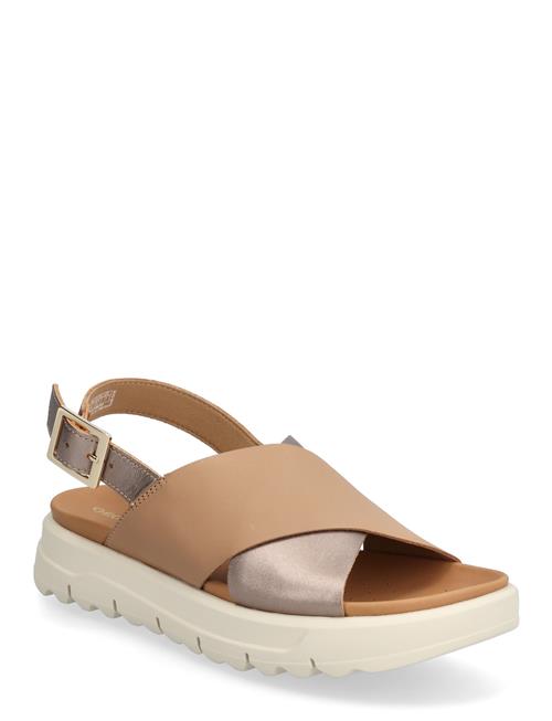 GEOX | D Xand 2.1S E | 35