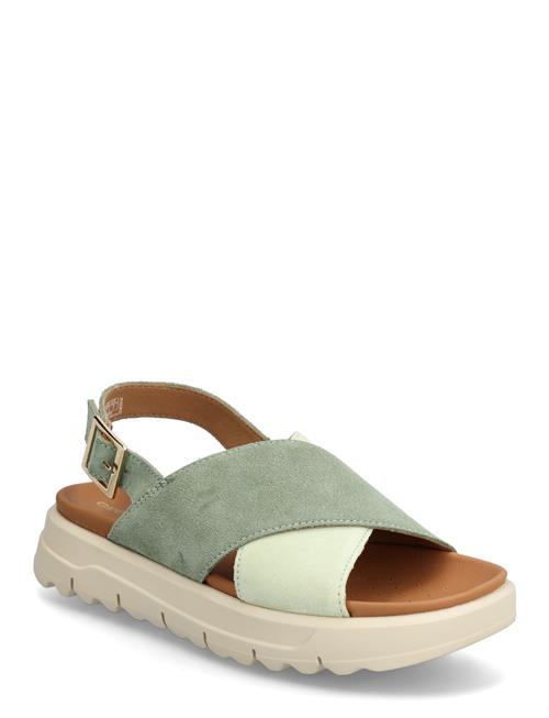 GEOX | D Xand 2.1S E | 41