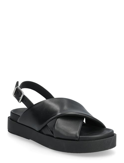 GEOX | D Adelash H A | 41