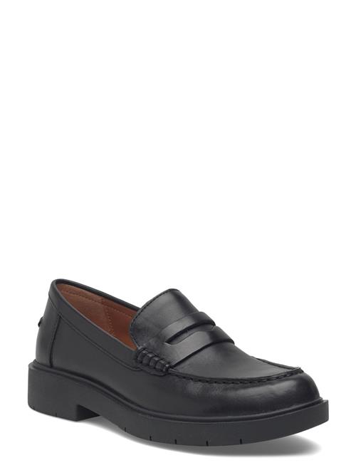 GEOX | D Spherica Ec1 B B | 37