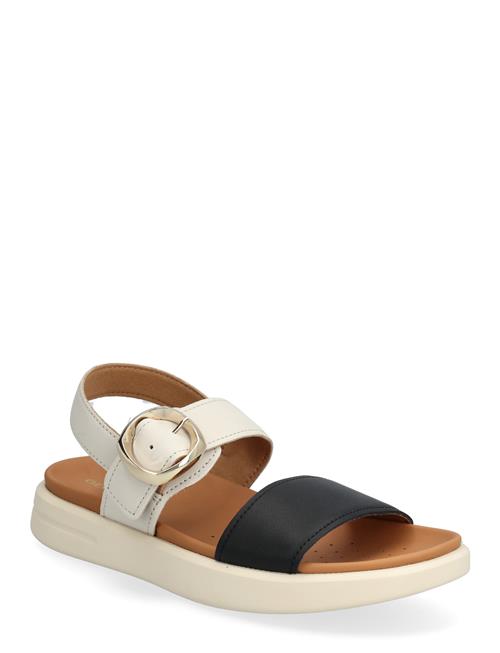 GEOX | D Xand 2S A | 41
