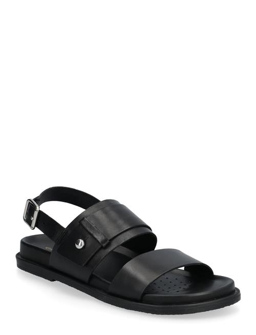 GEOX | D Adelash A | 35