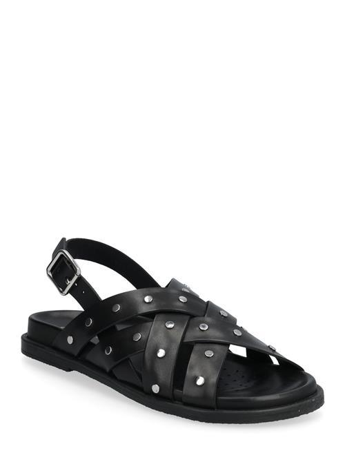 GEOX | D Adelash C | 37