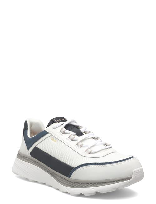 GEOX | U Spherica Actif X1 | 43