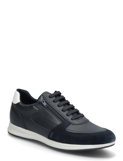 GEOX | U Avery A | 43