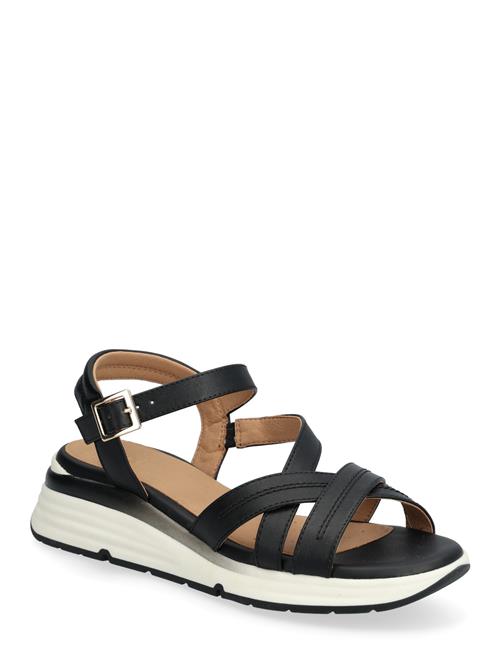 GEOX | D Elowynne A | 40