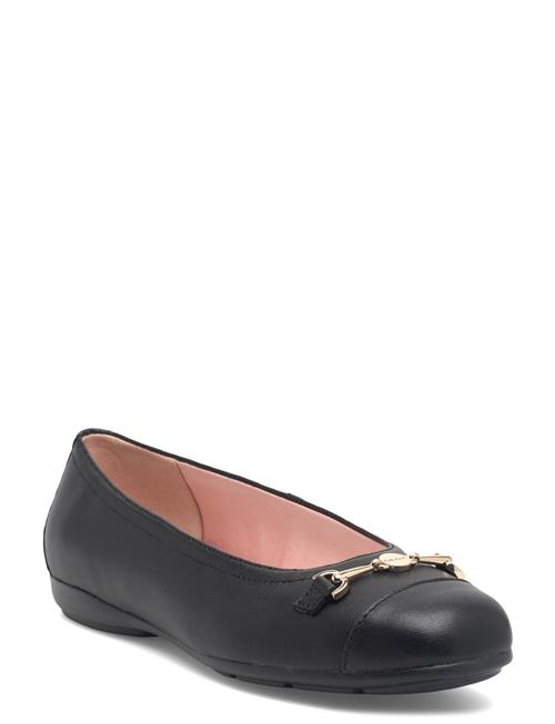 GEOX | D Annytah A | 37