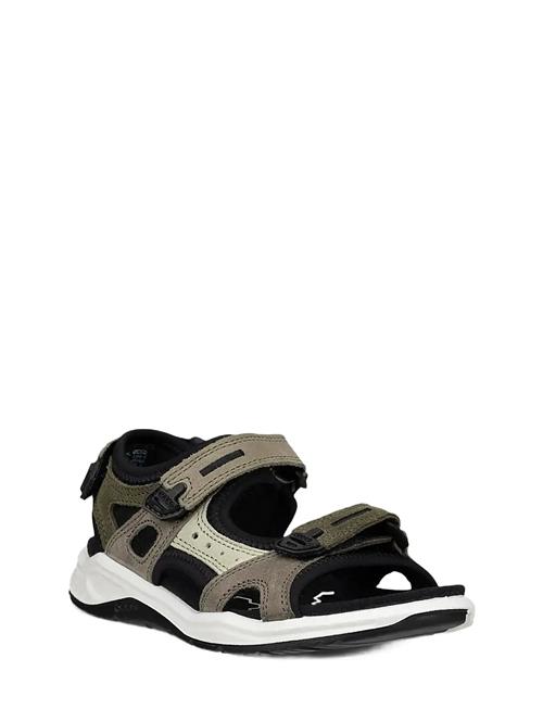 ECCO | X-Trinsic K | 32