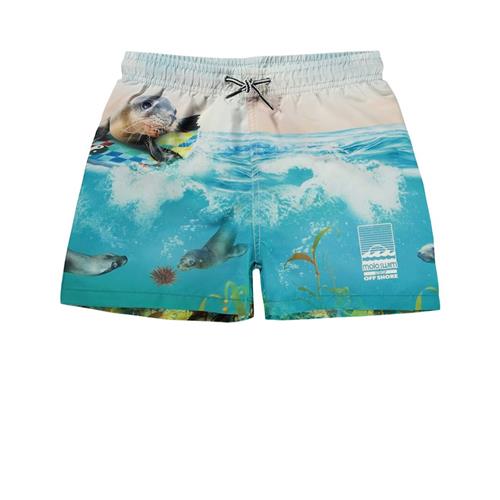 Molo Niko Badebukser Sealion 98/104 cm  Blå  98/104 cm  Drenge