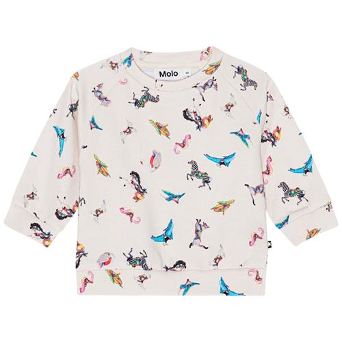 Molo GOTS Disc Sweatshirt Carousel Mini 92 cm  Creme  92 cm  Piger