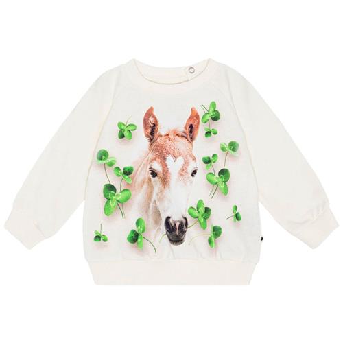 Molo GOTS Disc Sweatshirt Clover Foal 74 cm  Creme  74 cm  Piger