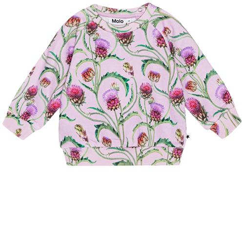 Molo GOTS Disc Sweatshirt Artichoke Mini 62 cm  Lyserød  62 cm  Piger