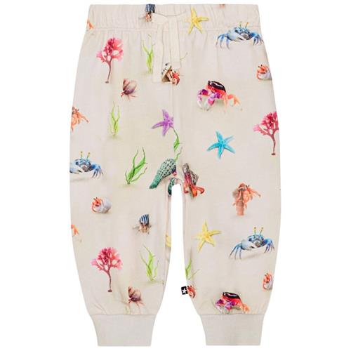 Molo GOTS Simeon Joggingbukser Hermit Crab 68 cm  Beige  68 cm  Drenge, Piger
