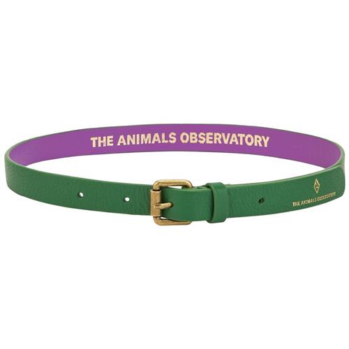 The Animals Observatory Ibis Bælte Grønt 90 cm  Grøn  90 cm  Drenge, Piger