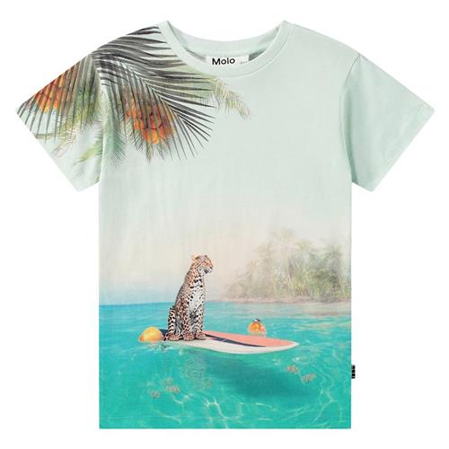 Molo Raul T-Shirt Leo On Surf 98 cm  Beige  98 cm  Drenge