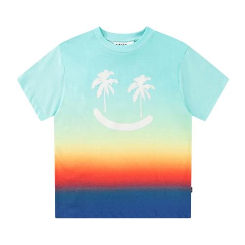 Molo Rodney T-Shirt Palm Smile 98 cm  Blå  98 cm  Drenge