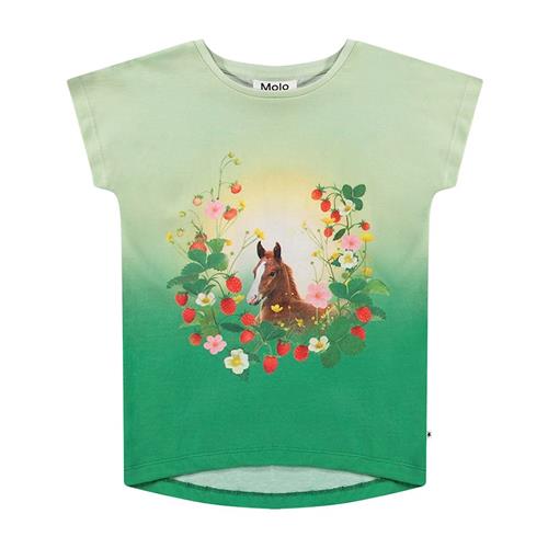 Molo Ragnhilde T-Shirt Beauty 110 cm  Grøn  110 cm  Piger