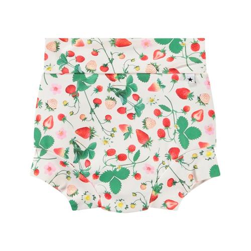 Molo Strawberry Field Pattern Nick Trunks 86/92 cm  Beige  86/92 cm  Drenge, Piger