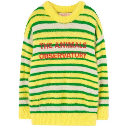 The Animals Observatory STRIPES BULL Strikket trøje Yellow 2 Y  Gul  2 år  Drenge, Piger