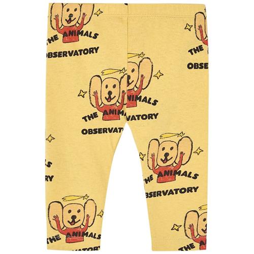 The Animals Observatory Penguin Baby Leggings Yellow Logo 6 months  Gul  6 måneder  Drenge, Piger