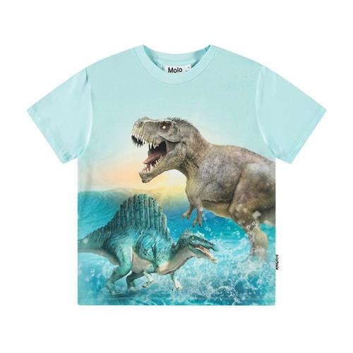 Molo Roxo Short Sleeve T-Shirt Dino Splash 140 cm  Blå  140 cm  Drenge