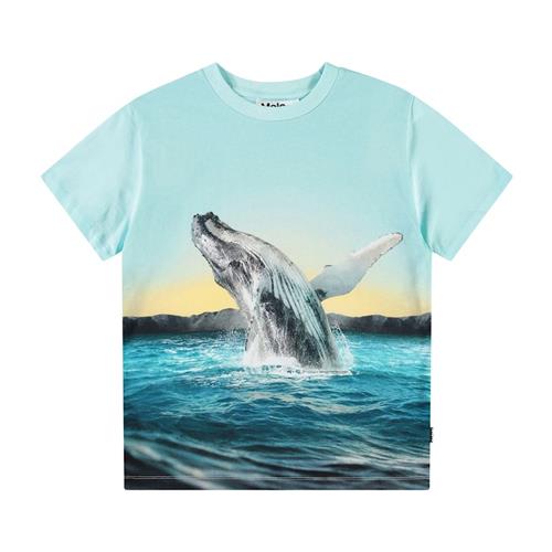 Molo Rame Short Sleeve T-Shirt Whale Jump 104cm  Blå  104 cm  Drenge