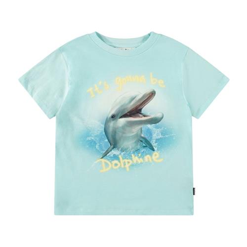 Molo Rame Short Sleeve T-Shirt Dolphine 116 cm  Blå  116 cm  Drenge