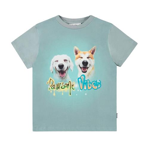 Molo Rame Short Sleeve T-Shirt Pawsome Vibes 98 cm  Blå  98 cm  Drenge