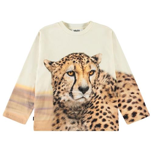 Molo Rollo Long-Sleeved T-Shirt Big Cheetah Light 104cm  Beige  104 cm  Drenge