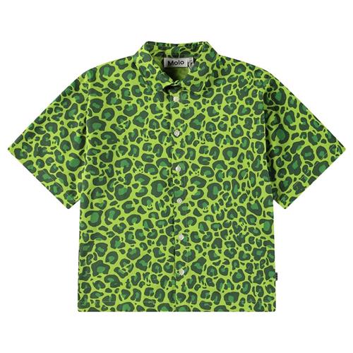 Molo Richie Long Sleeve Shirt Jaguar_green 146/152 cm  Grøn  146/152 cm  Drenge