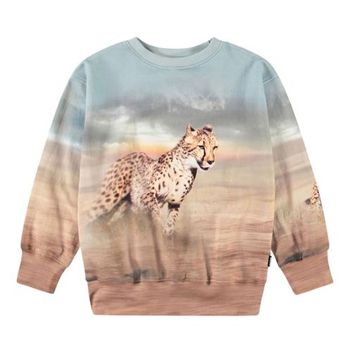 Molo Mattis Sweatshirt Running Cheetahs 98 cm  Brun  98 cm  Drenge