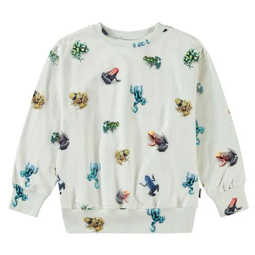 Molo Mattis Sweatshirt Vibrant Frogs 104cm  Beige  104 cm  Drenge