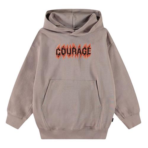 Molo Maxx Hoodie Cinder Rock 116 cm  Grå  116 cm  Drenge