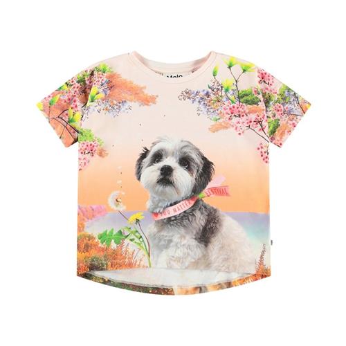 Molo Raeesa Short Sleeve T-Shirt Festivalgoers 110 cm  Orange.  110 cm  Piger