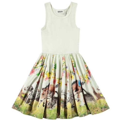 Molo Cassandra Short-Sleeved Dress Joy Run 158/164 cm  Grøn  158/164 cm  Piger