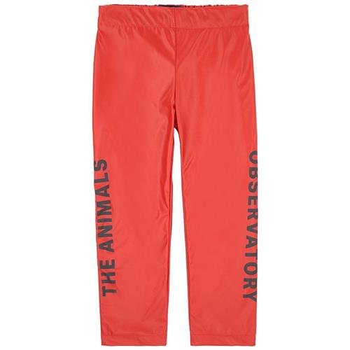 The Animals Observatory Chicken Pants Red Apple Black The Animals 4 Y    4 år  Drenge, Piger