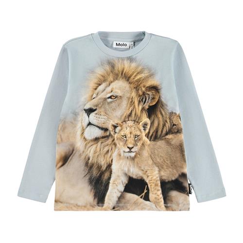 Molo Reif Langærmet T-shirt Lion Family 140 cm    140 cm  Drenge, Piger