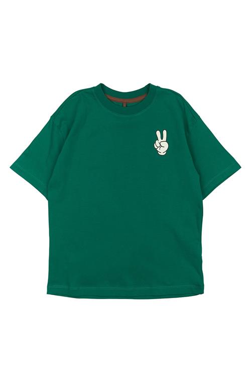 The New GOTS Panton T-shirt Alpine Green  Alpine Green 5-6 Y  Grøn  5-6 år  Drenge