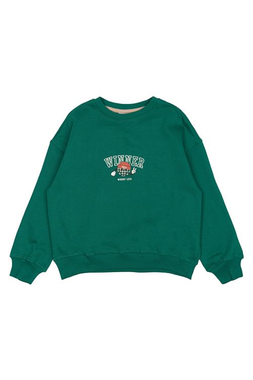 The New GOTS Paul Sweatshirt Alpine Green  Alpine Green 5-6 Y  Grøn  5-6 år  Drenge