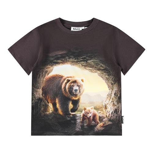 Molo Riley T-shirts Cave Bears  Cave Bears 128 cm  Brun  128 cm  Drenge